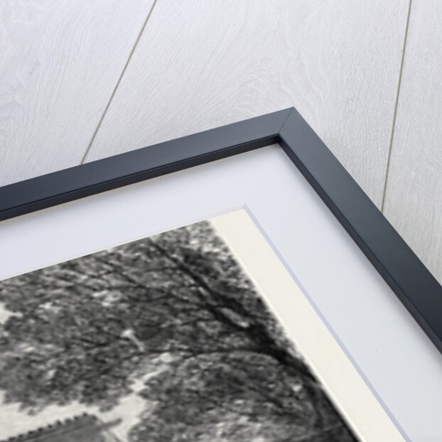 The New Elephant House in the Zoological Society's Gardens Regent's Park London UK 1869 by Anonymous