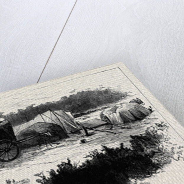 Gipsy Life Round London: Encampment at Mitcham Common 1880 by Anonymous