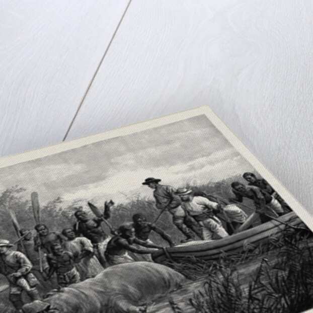 Hippopotamus Hunting in Angola West Africa 1880 by Anonymous