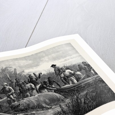 Hippopotamus Hunting in Angola West Africa 1880 by Anonymous