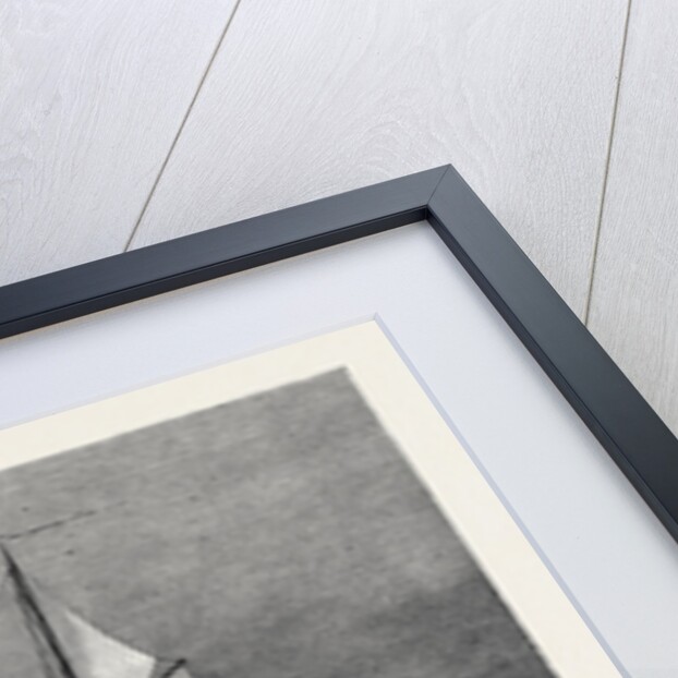 The Dutch Arctic Expedition: The Schooner Willem Barents Sighting Franz Joseph Land Sept. 7 1879 by Anonymous