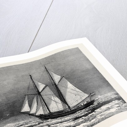 The Dutch Arctic Expedition: The Schooner Willem Barents Sighting Franz Joseph Land Sept. 7 1879 by Anonymous