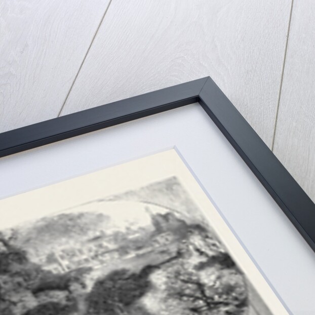 A Leap-Year Valentine 1880 by Anonymous