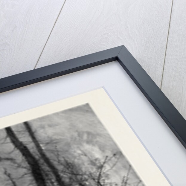 The Months: February by Anonymous