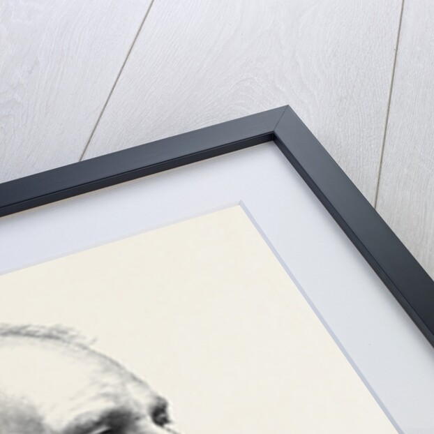 The Very Rev. J.C. Ryle Dean of Salisbury 1880 by Anonymous