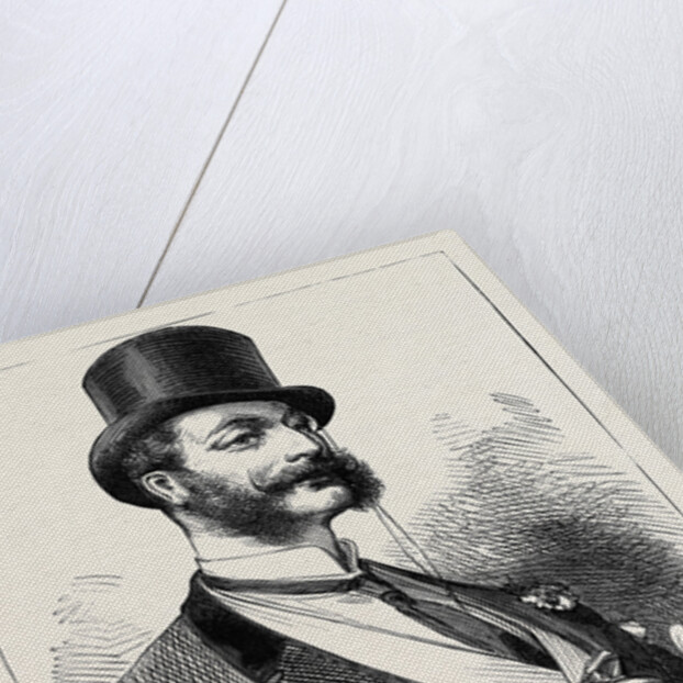 Election Sketches: The Ladies' Favourite 1880 by Anonymous