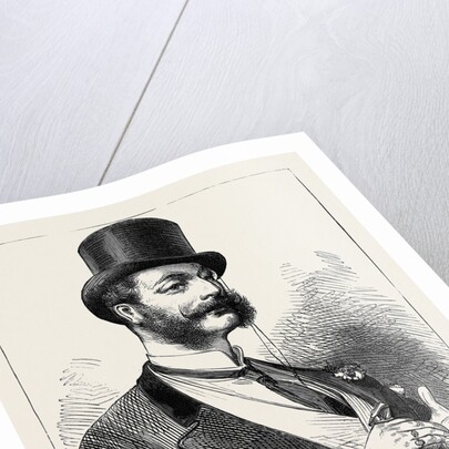 Election Sketches: The Ladies' Favourite 1880 by Anonymous