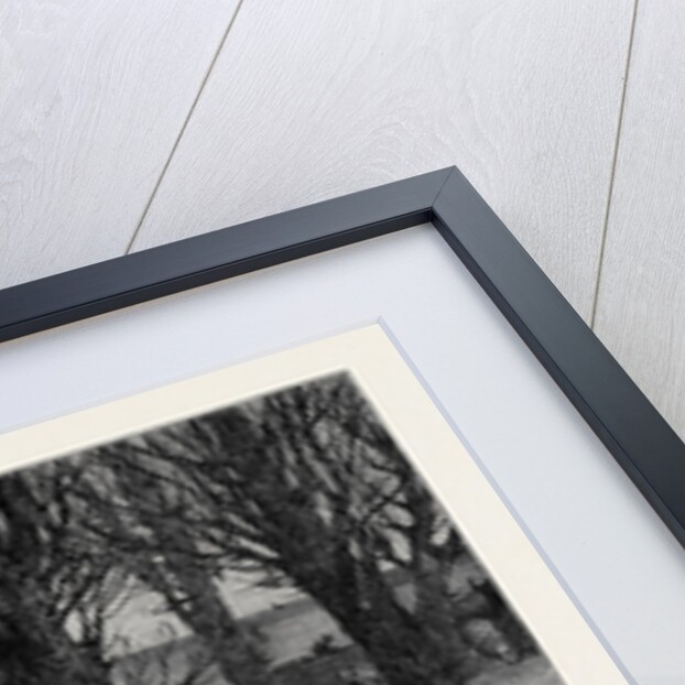 The General Election: The Calm Before the Storm: A Sketch at Dalmeny on Saturday April 3 1880 by Anonymous