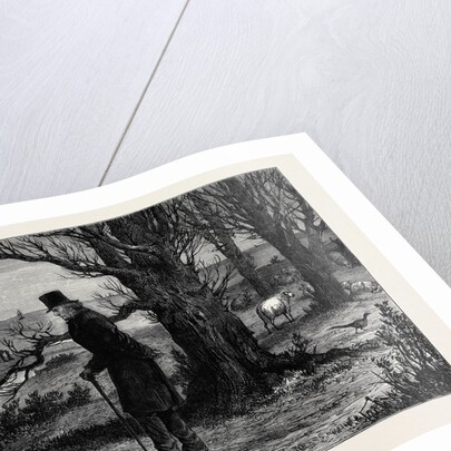 The General Election: The Calm Before the Storm: A Sketch at Dalmeny on Saturday April 3 1880 by Anonymous