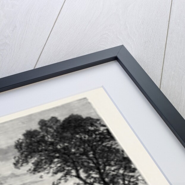 Hawarden Castle from the Park 1880 by Anonymous