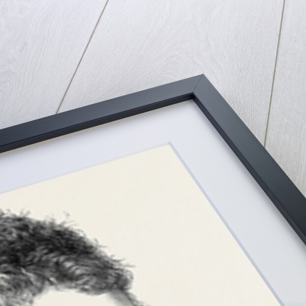 Princess Frederica of Hanover 1880 by Anonymous