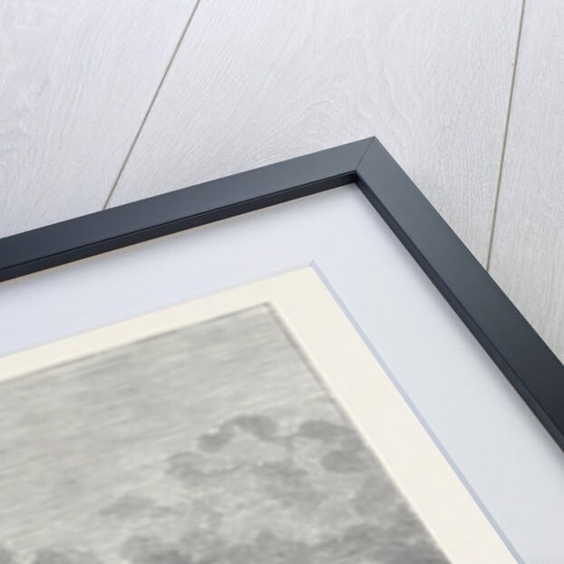 The United States Frigate Constellation with Relief Stores for Irish Distress Off Haulbowline in Cork Harbour 1880 by Anonymous