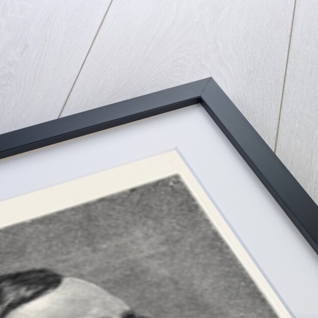 The New Postmaster-General Professor Fawcett M.P. 1880 by Anonymous