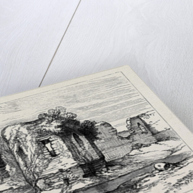 Ireland: Ballintuber Castle County Roscommon 1880 by Anonymous