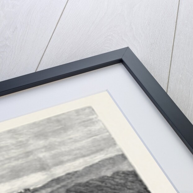 The Prince of Wales in Cornwall: The River Fal Tregothnan in the Distance 1880 by Anonymous