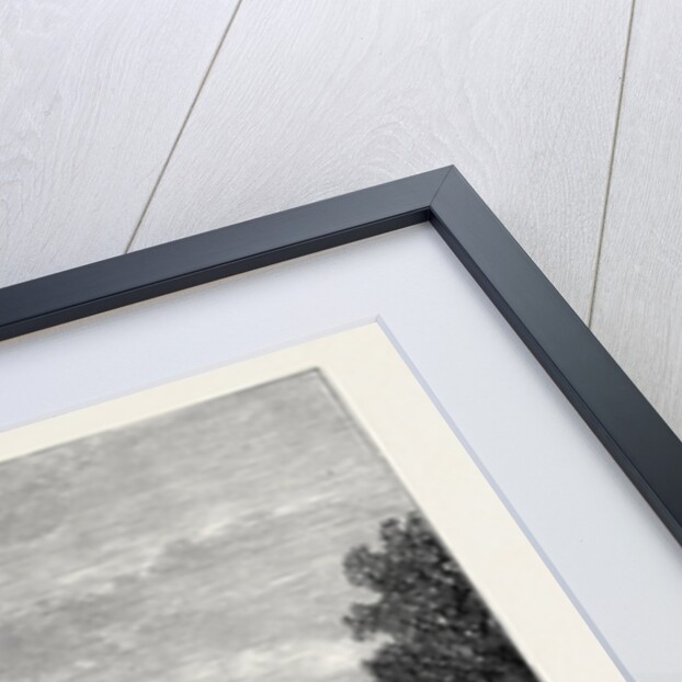 The Prince of Wales in Cornwall: Tregothnan Castle North Front 1880 by Anonymous