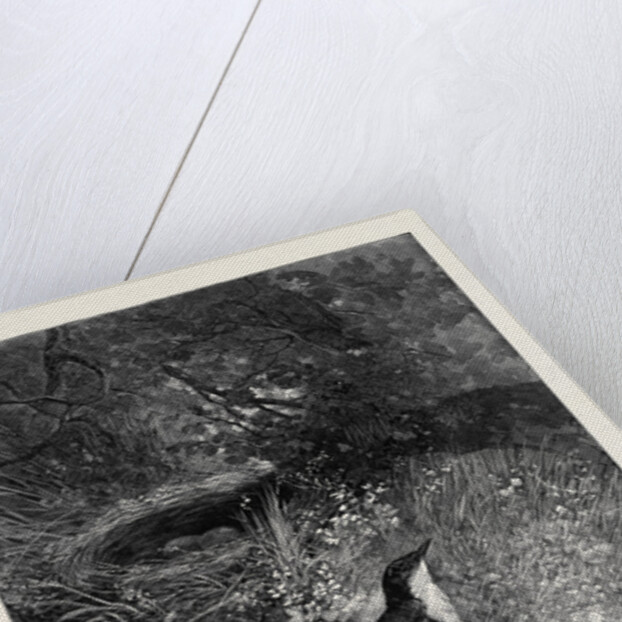 Sometimes in the Shallows They Boldly Wade in Search of Prey by Anonymous