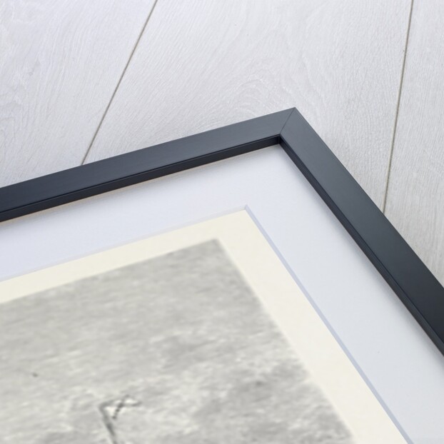 The Union Company's New Steamship Trojan for the Cape Mail Line 1880 by Anonymous