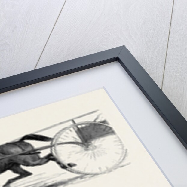 The Horse Show 1880 by Anonymous