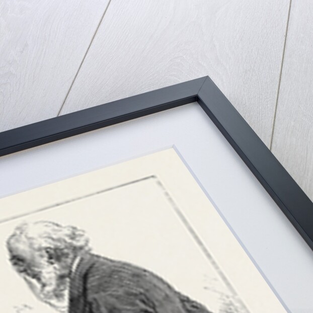 My Lord Was Jabbering Over a Pistol When the Doctor Arrived and the Great Glass Over the Mantelpiece in the State Drawing-Room in Belgrave-Square Was Freshly Shattered. 1880 by Anonymous