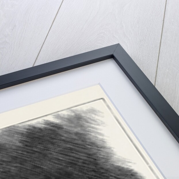 Dr. Godwin 1880 by Anonymous