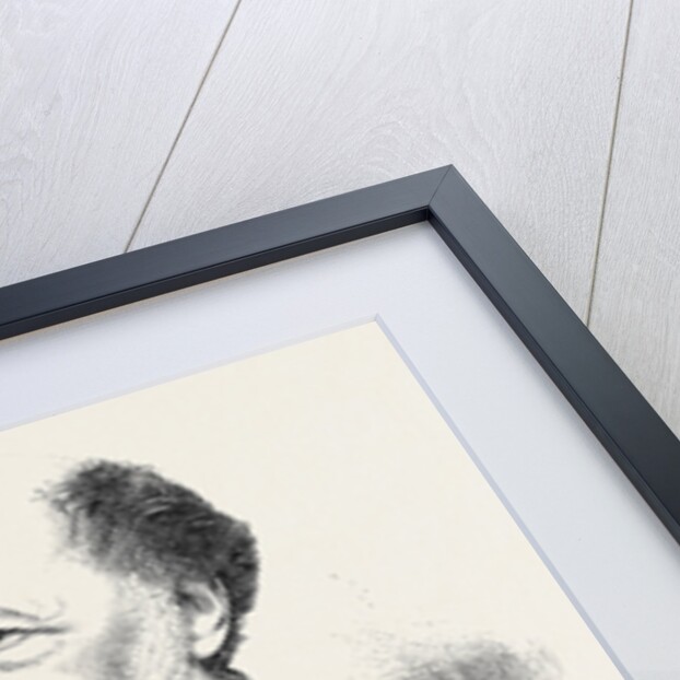 The Late Mr. J.R. Planché Somerset Herald 1880 by Anonymous