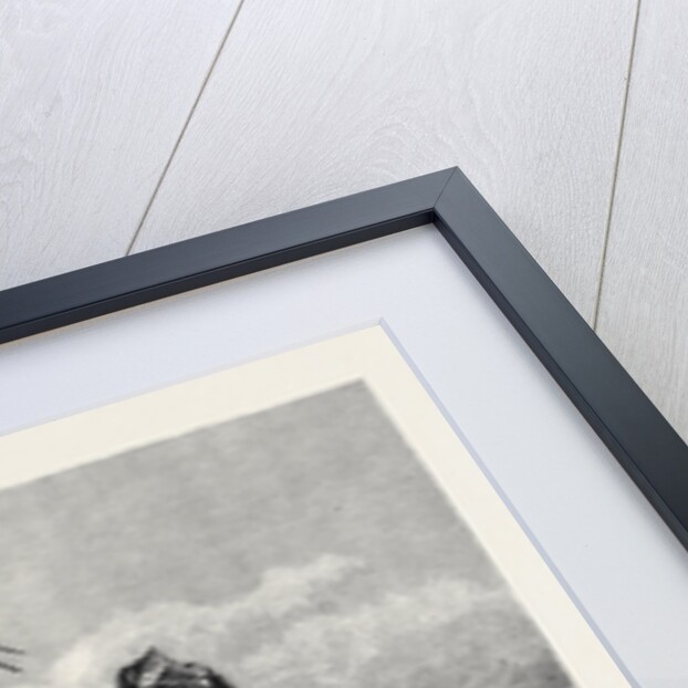 Our Troops in Afghanistan: A Sowar of the 10th Bengal Lancers and a Private of the 9th Foot 1880 by Anonymous