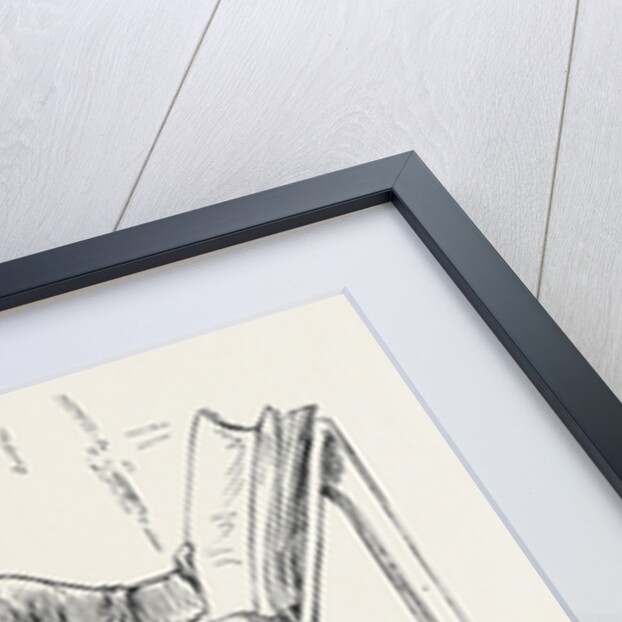 Parliamentary Sketches: In the Lobby: The Guardian of the Constitution 1880 by Anonymous