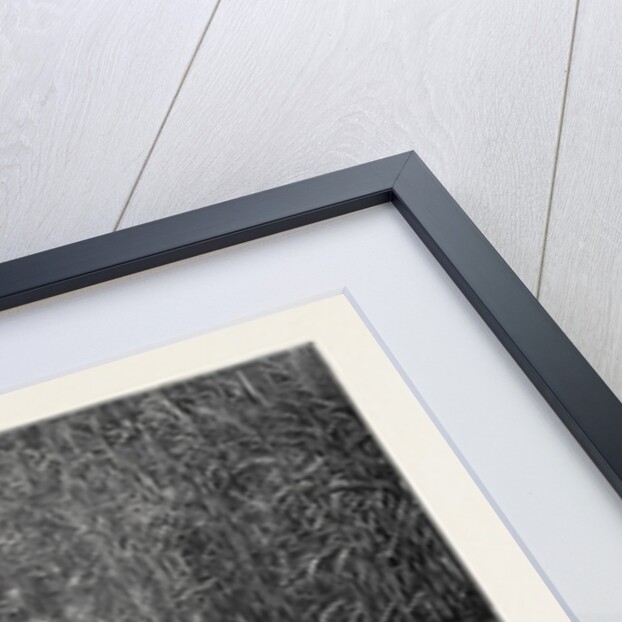 Division of Labour 1880 by Anonymous