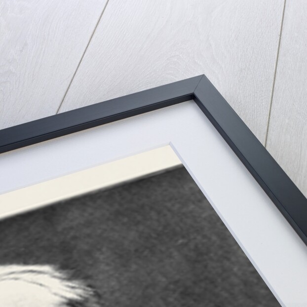 M. Challemel-Lacour the New French Ambassador in London 1880 by Anonymous