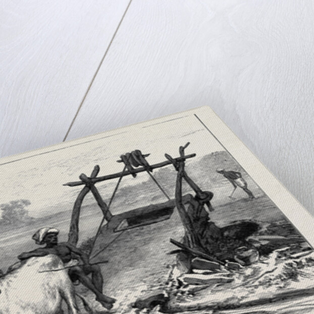 The Famine in Bengal: Indian Mode of Irrigation 1874 by Anonymous