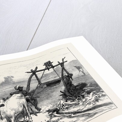 The Famine in Bengal: Indian Mode of Irrigation 1874 by Anonymous
