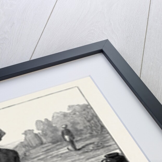 The Famine in Bengal: Indian Mode of Irrigation 1874 by Anonymous