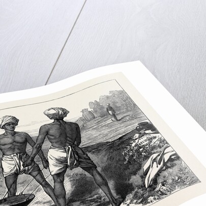 The Famine in Bengal: Indian Mode of Irrigation 1874 by Anonymous