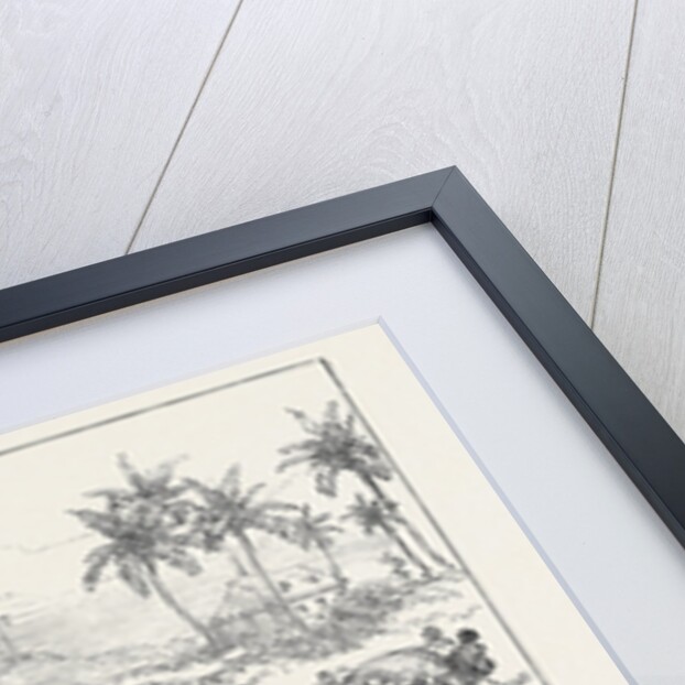 The Ashantee War: The Water Supply of Cape Coast Castle 1874 by Anonymous