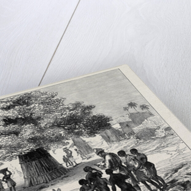 The Ashantee War: Fetish Tree in a Village Near Cape Coast Castle 1874 by Anonymous