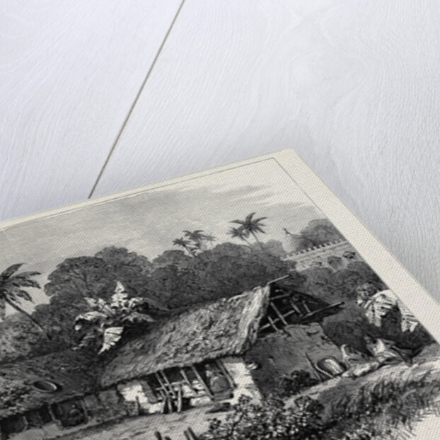 The Famine in India: A Bengal Village 1874 by Anonymous