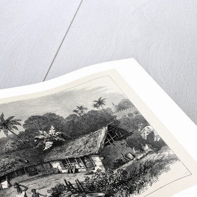 The Famine in India: A Bengal Village 1874 by Anonymous