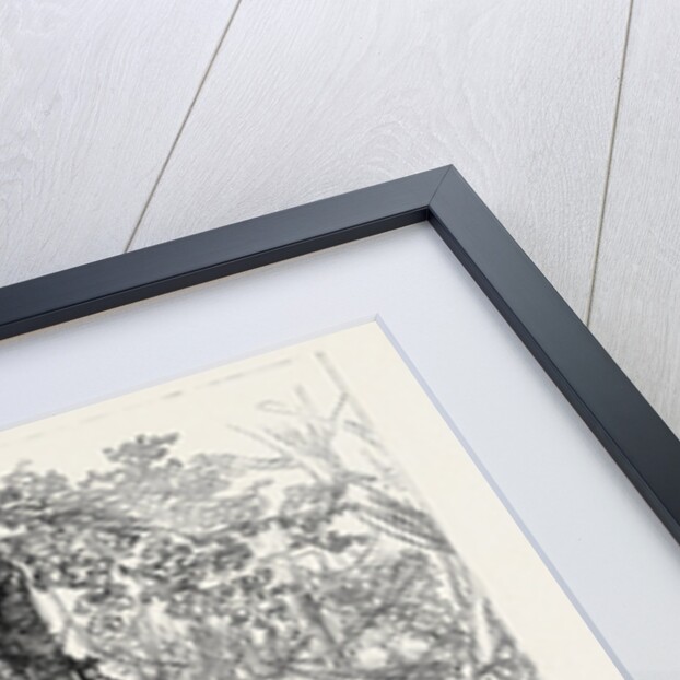 The Ashantee War: Advancing on Coomassie 1874 by Anonymous