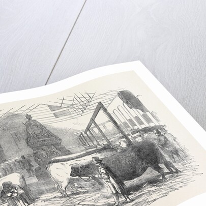 The Smithfield Club Cattle Show-Yard by Anonymous