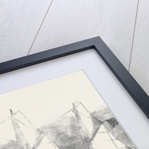 The New Screw Steamship Adelaide by Anonymous