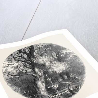 The Old Crystal Palace in Hyde Park: Fountain in the North Transept, 1852 by Anonymous