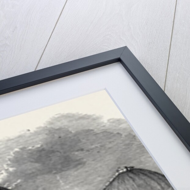 The Great Industrial Exhibition Building at Dublin: Front Elevation to Merrion Square West, 1852 by Anonymous