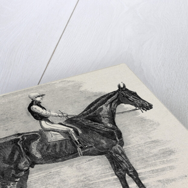 Weathergage, Winner of the Cesarewitch Stakes, at Newmarket, 1852 by Anonymous