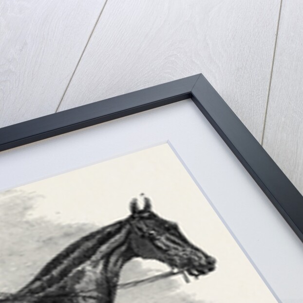 Weathergage, Winner of the Cesarewitch Stakes, at Newmarket, 1852 by Anonymous