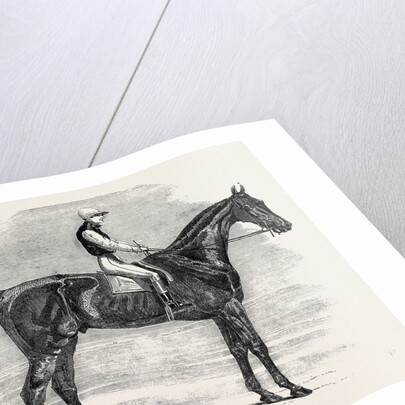 Weathergage, Winner of the Cesarewitch Stakes, at Newmarket, 1852 by Anonymous