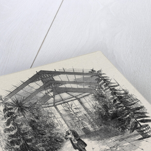 The Conservatory at Stratfieldsay by Anonymous