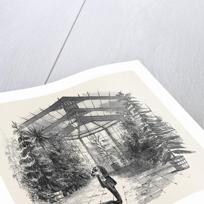 The Conservatory at Stratfieldsay by Anonymous