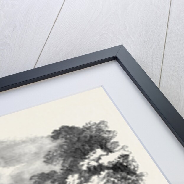 Grand Meeting of the Devon and Cornwall Archery Clubs, at Bitton Manor, Teignmouth. by Anonymous