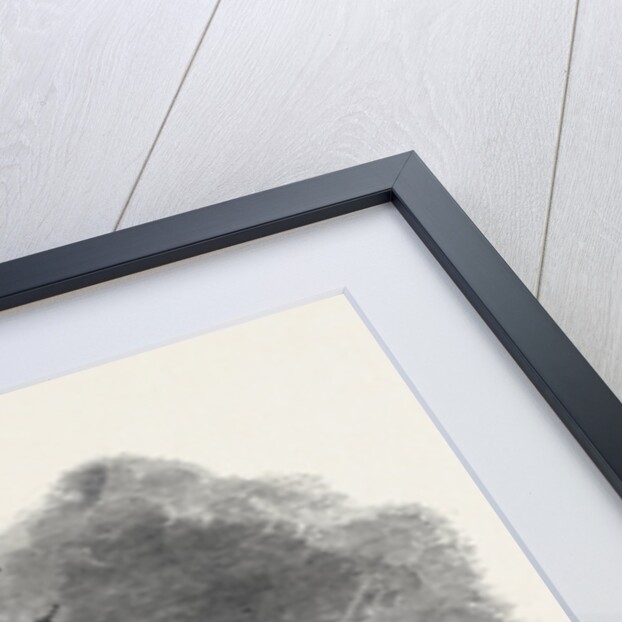 Wreck of the English Brig Hebe, in the Colombo Roads, Ceylon by Anonymous